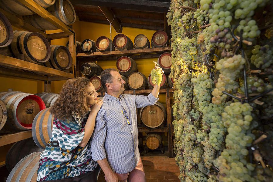 Beconcini Winery