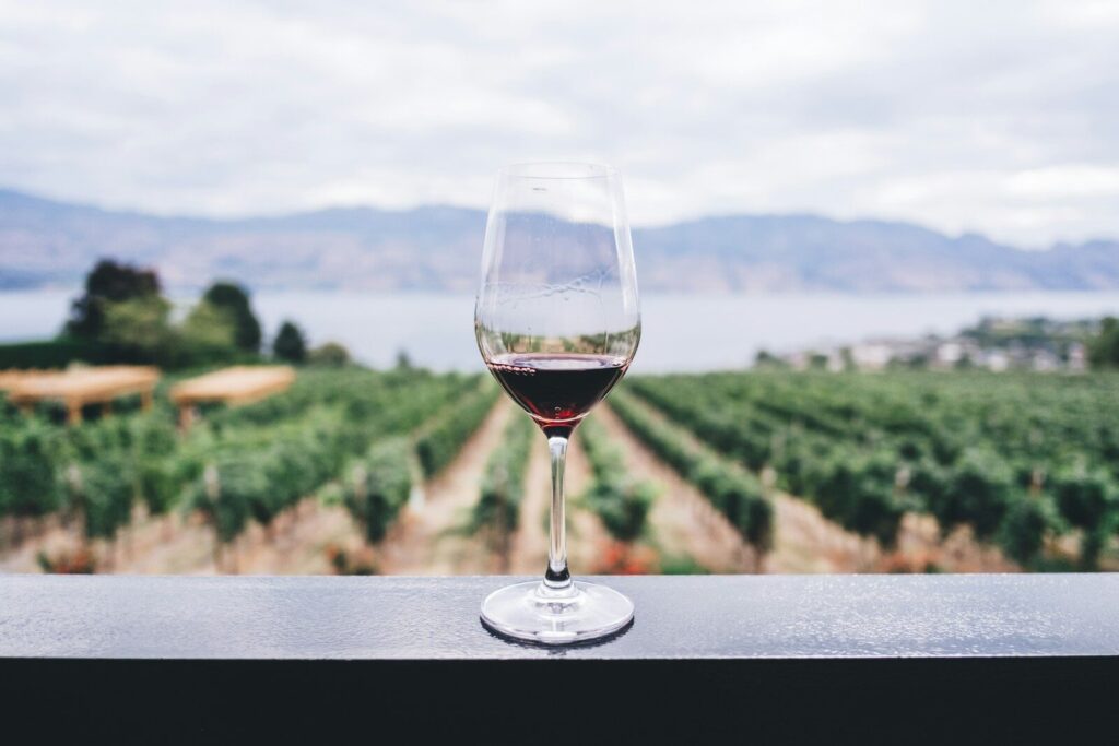 Vigna, cantina e degustazione identitaria
