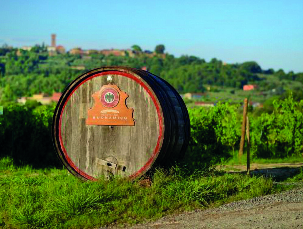 LIGHT LUNCH, TOUR e DEGUSTAZIONE di 6 VINI