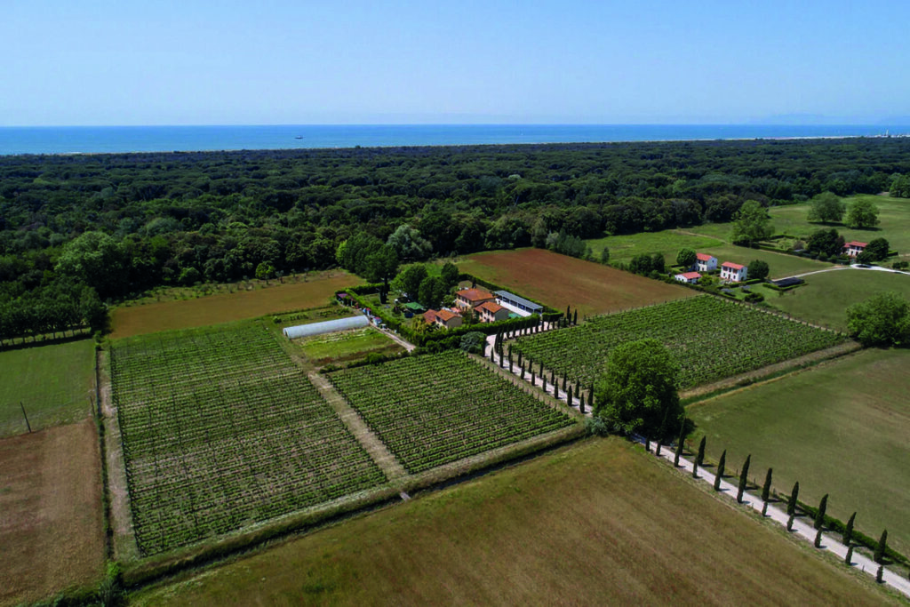 Segreto Selection Cru Experience