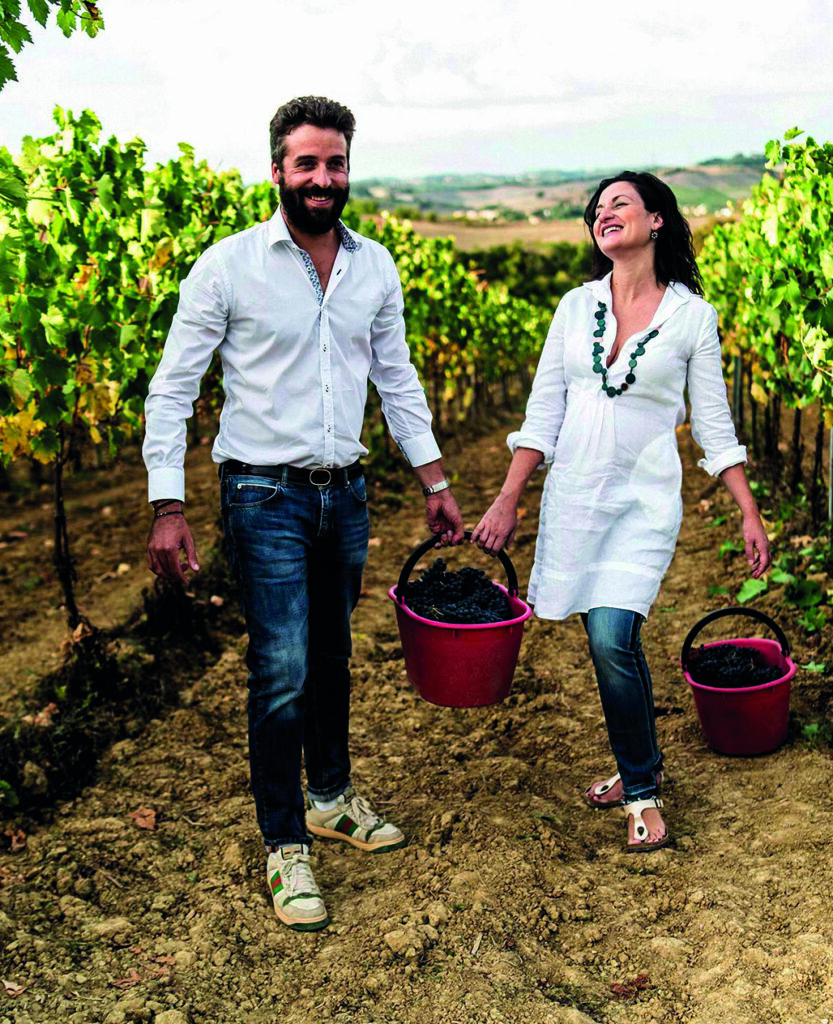 Viaggio tra vigneti e sapori