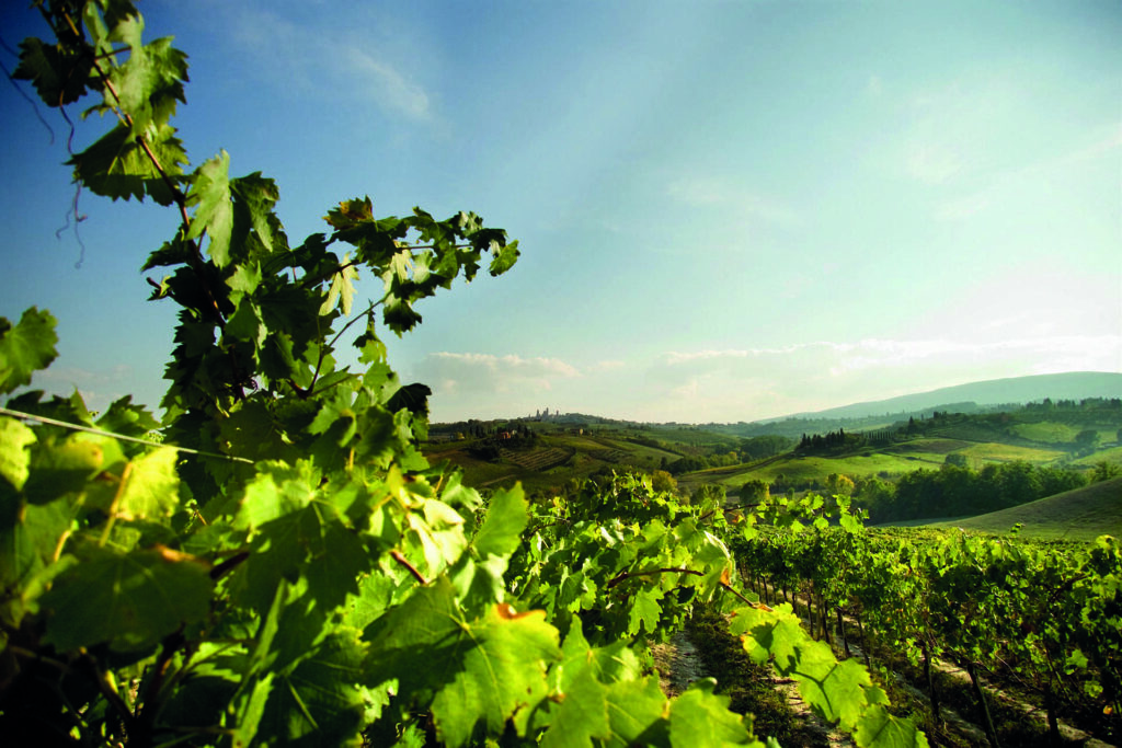 Degustazione Classica